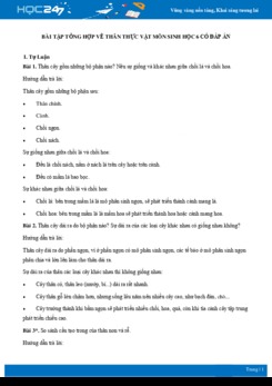 Bài tập tổng hợp về Thân Thực Vật môn Sinh học 6 có đáp án