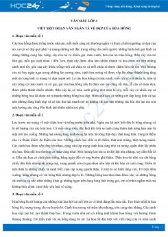Viết một đoạn văn ngắn tả vẻ đẹp của hoa hồng - Văn mẫu lớp 3