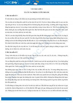 Tả cây na trong vườn nhà em - Văn mẫu lớp 4