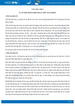 Tả về một buổi nghệ thuật xiếc mà em biết - Văn mẫu lớp 3