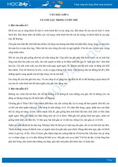 Tả con gấu trong vườn thú - Văn mẫu lớp 4