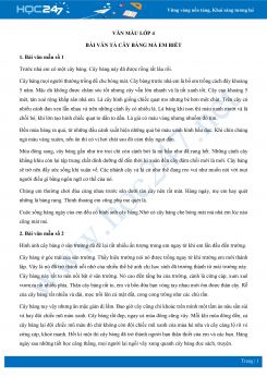 Bài văn tả cây bàng mà em biết - Văn mẫu lớp 4