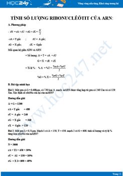Phương pháp giải dạng bài Tính số lượng ribonucleotit của ARN Sinh 12