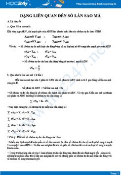 Luyện tập Dạng toán liên quan đến số lần sao mã Sinh học 12