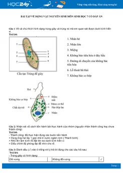 Bài tập về Động vật nguyên sinh môn Sinh học 7 có đáp án