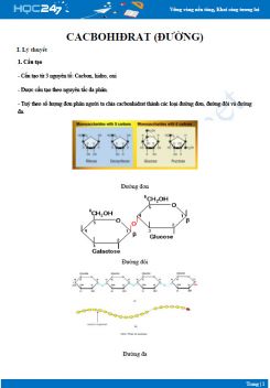 Lý thuyết ôn tập Các đặc điểm của Cacbohidrat (đường) Sinh học 10