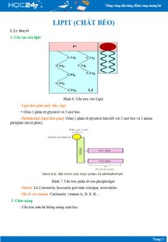 Lý thuyết ôn tập Các đặc điểm của Lipit (chất béo) Sinh học 10