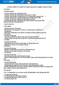 Tổng ôn Sự phát triển của sinh vật đại tiền Cambri và Cổ sinh Sinh 12