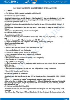 Lý thuyết ôn tập Các giai đoạn trong quá trình phát sinh loài người Sinh 12