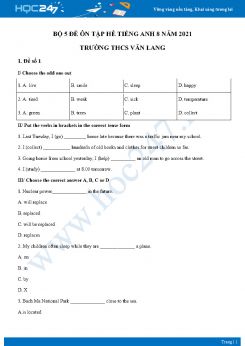 Bộ 5 đề ôn tập hè Tiếng Anh 8 năm 2021 Trường THCS Văn Lang