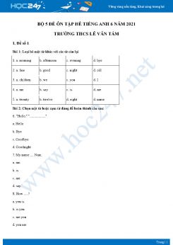 Bộ 5 đề ôn tập hè Tiếng Anh 6 năm 2021 Trường THCS Lê Văn Tám
