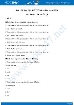 Bộ 5 đề ôn tập hè Tiếng Anh 6 năm 2021 Trường THCS Lê Lợi