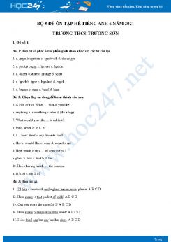 Bộ 5 đề ôn tập hè Tiếng Anh 6 năm 2021 Trường THCS Trường Sơn