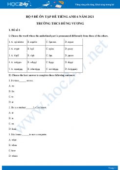 Bộ 5 đề ôn tập hè Tiếng Anh 7 năm 2021 Trường THCS Hùng Vương