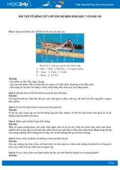 Bài tập về Động vật lớp sâu bọ môn Sinh học 7 có đáp án