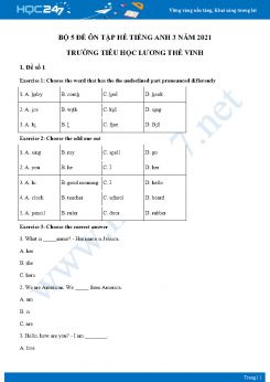 Bộ 5 đề ôn tập hè Tiếng Anh 3 năm 2021 Trường Tiểu học Lương Thế Vinh