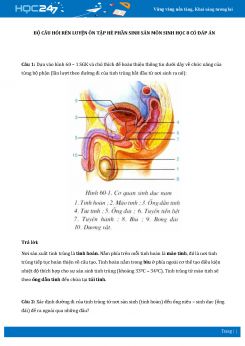 Bộ câu hỏi rèn luyện ôn tập hè phần Sinh sản môn Sinh học 8 có đáp án