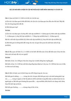 Bộ câu hỏi rèn luyện ôn tập hè phần Đột biến môn Sinh học 9 có đáp án