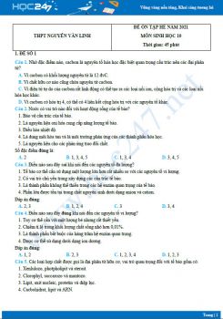 Bộ 4 đề ôn tập hè Sinh học 10 năm 2021 - Trường THPT Nguyễn Văn Linh