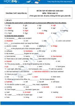 Bộ 5 đề ôn tập hè Tiếng Anh 10 năm 2021 Trường THPT Nguyễn Du