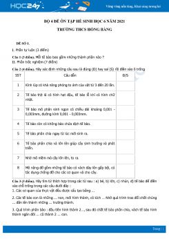 Bộ 4 Đề ôn tập hè môn Sinh Học 6 năm 2021 Trường THCS Hồng Bàng