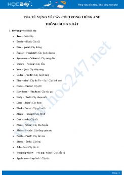 150+ từ vựng về cây cối trong Tiếng Anh thông dụng nhất