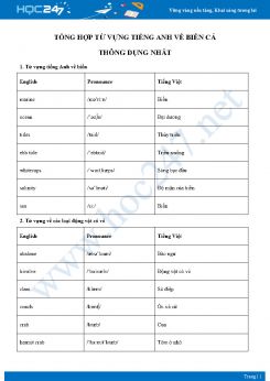 Tổng hợp từ vựng Tiếng Anh về biển cả thông dụng nhất