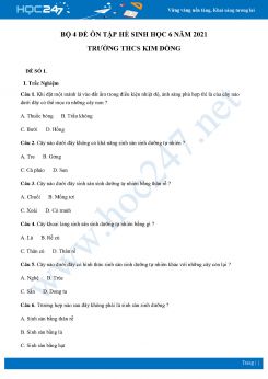 Bộ 4 Đề ôn tập hè môn Sinh Học 6 năm 2021 Trường THCS Kim Đồng