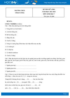 Bộ 4 Đề thi giữa HK1 môn Sinh Học 7 năm 2021 - 2022 Trường THCS Vĩnh Tường có đáp án