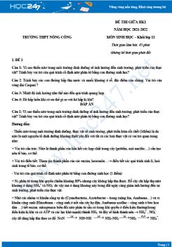 Bộ 4 đề thi giữa HK1 môn Sinh học 11 năm 2021-2022 - Trường THPT Nông Cống có đáp án