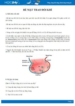 Kiến thức cần nhớ về Bề mặt trao đổi khí trong hô hấp ở động vật Sinh học 11