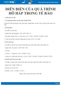 Kiến thức cần nhớ về Diễn biến của sự hô hấp tế bào Sinh học 10