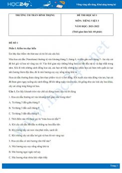 Bộ 4 đề thi HK1 môn Tiếng Việt 3 có đáp án năm 2021-2022 Trường TH Trần Bình Trọng