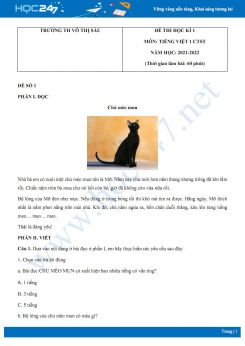 Bộ 4 đề thi HK1 môn Tiếng Việt 1 Chân trời sáng tạo có đáp án năm 2021-2022 Trường TH Võ Thị Sáu