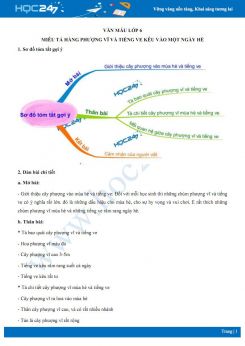 Miêu tả hàng phượng vĩ và tiếng ve kêu vào một ngày hè