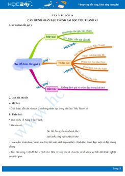 Cảm hứng nhân đạo trong bài Đọc Tiểu Thanh kí