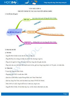 Thuyết minh về tác giả Nguyễn Đình Chiểu