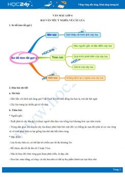 Bài văn nêu ý nghĩa về cây lúa