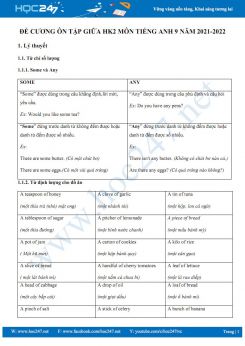 Đề cương ôn tập giữa HK2 môn Tiếng Anh 9 năm 2021-2022