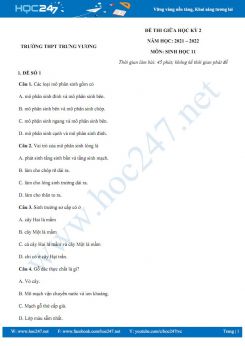 Bộ 5 đề thi giữa HK2 môn Sinh học 11 năm 2021 - Trường THPT Trưng Vương có đáp án