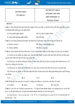 Bộ 5 Đề thi giữa HK2 môn Sinh Học 12 năm 2021-2022 Trường THPT Võ Thị Sáu có đáp án