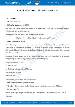 Bồi dưỡng HSG chủ đề Hô Hấp ở thực vật Sinh học 11