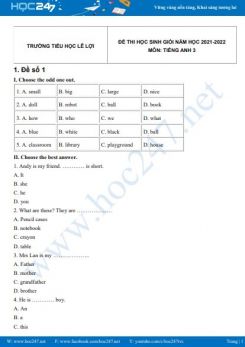 Bộ 5 đề thi HSG môn Tiếng Anh 3 có đáp án năm 2021-2022 Trường TH Lê Lợi