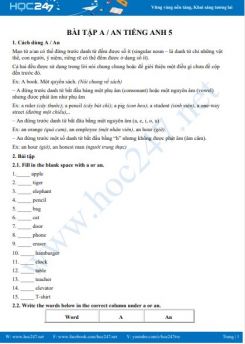 Bài tập A / An Tiếng Anh 5