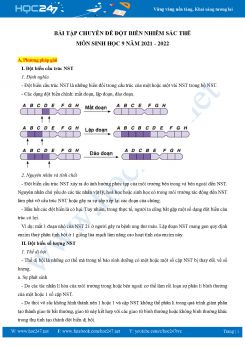 Bài tập chuyên đề Đột Biến Nhiễm Sắc Thể môn Sinh học 9