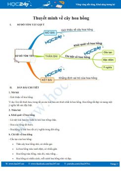 Thuyết minh về cây hoa hồng