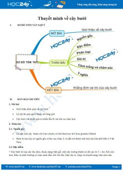 Thuyết minh về cây bưởi