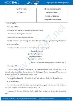 Bộ 3 đề thi HSG môn Ngữ văn 8 năm 2022 Trường THCS Ngô Quyền có đáp án