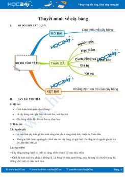 Thuyết minh về cây bàng