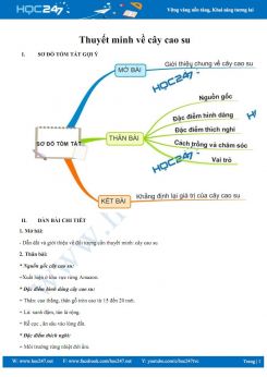 Thuyết minh về cây cao su